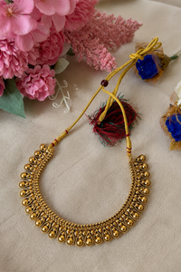 Varnika Necklace With Earrings